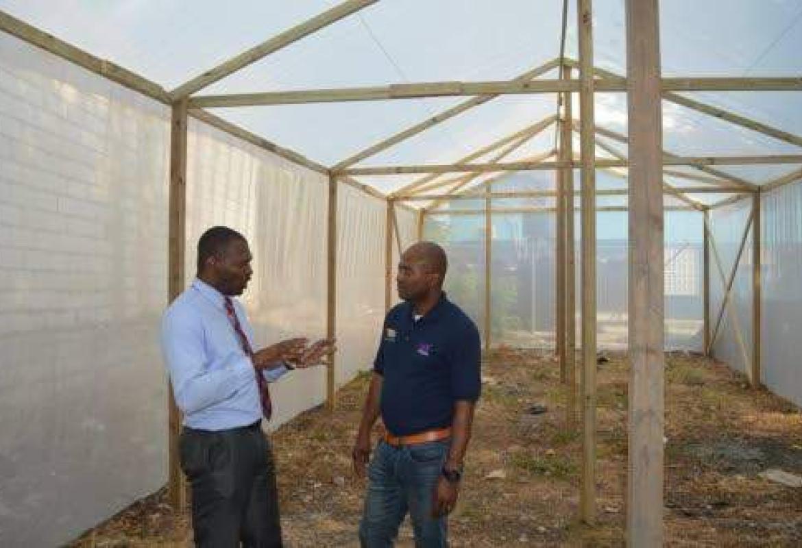 Excitement in the inner city as JSIF builds out greenhouses Jamaica Social Investment Fund